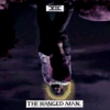 The Hanged Man—Hannigram