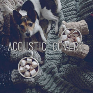 acoustic covers