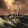 iv. weather your storms (weeks 27-42)