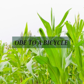ode to a bicycle