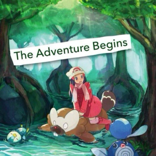 The Adventure Begins
