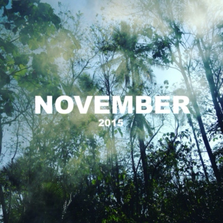 November 2015