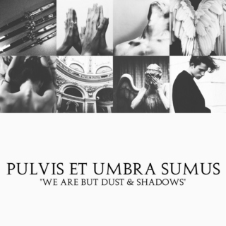 Pulvis et Umbra Sumus // We Are But Dust And Shadows
