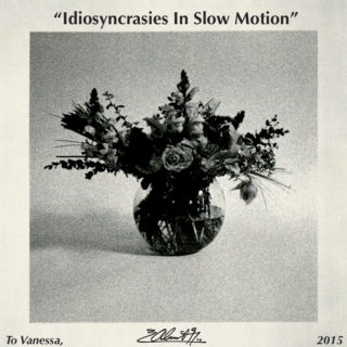 "Idiosyncrasies in Slow Motion"