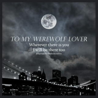 To my werewolf lover