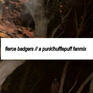 fierce badgers