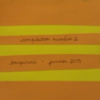 JANVIER 2013 // compilation n°2