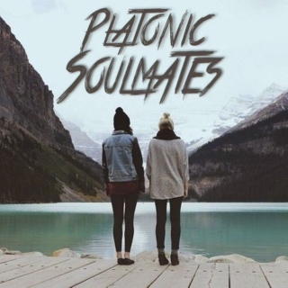 Platonic Soulmates