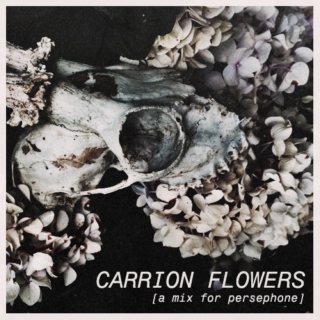 carrion flowers