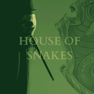 house of snakes