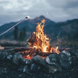 Bonfire nights