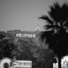 Hollywood's Dead