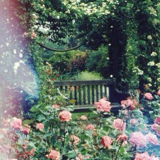 Gatsby's Garden.