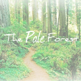 The Pale Forest