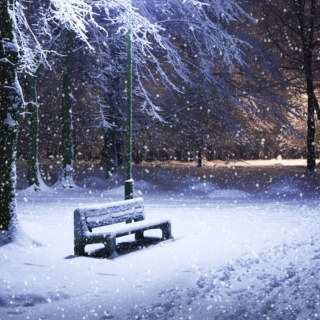 Winter Serenity