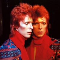 moonage daydream: the david bowie songbook