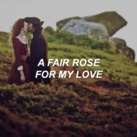 a fair rose for my love