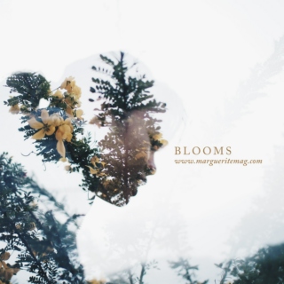 Blooms playlist