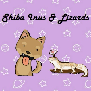 Shiba Inus & Lizards