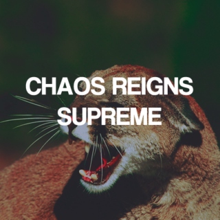 chaos reigns supreme