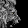 The Lion God