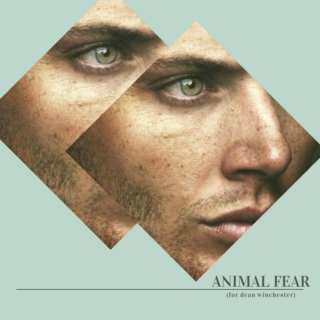 animal fear
