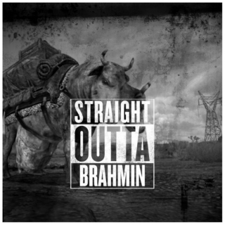 Straight Out Of Brahmin