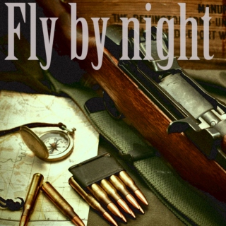 fly-by-night