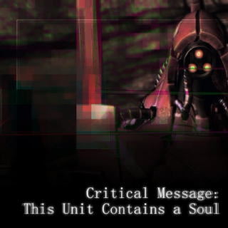 Critical Message: This Unit Contains a Soul