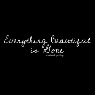 everything beautiful is gone | wattpad