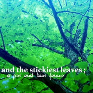 and the stickiest leaves;