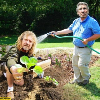 Watch Robert Plant While Roger Waters