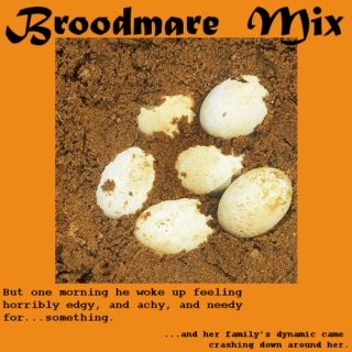 Broodmare Mix