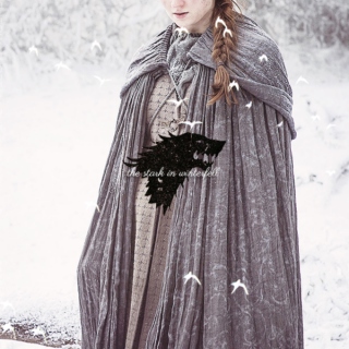 the stark in winterfell