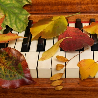 Seasons & Celebrations Radio  NOVEMBER  Fall, Food, Family Selections