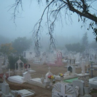 cemetery thrills 