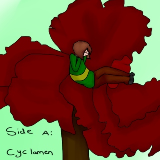 Side A: Cyclamen