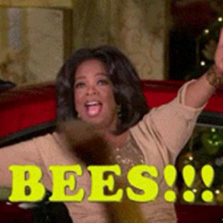 BEES!!!