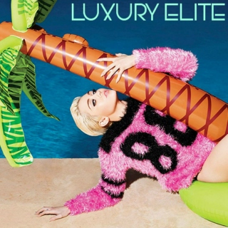 Luxury Elite