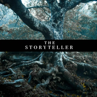 the storyteller