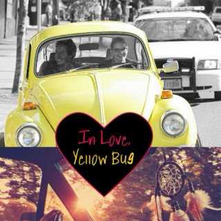 In Love, Yellow Bug