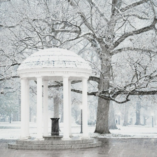The Old Well