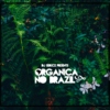 Organica no Brazil