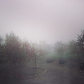 misty mornings