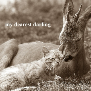 my dearest darling