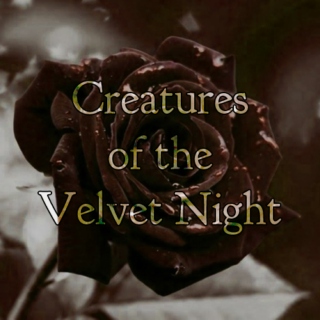 Creatures of the Velvet Night