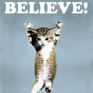 Motivational Cat Poster