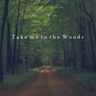 Take me to the Woods