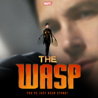 The Wasp.