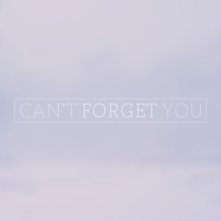 Can't Forget You